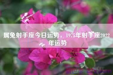 属兔射手座今日运势，1975年射手座2022 年运势