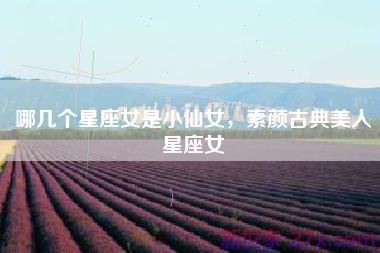 哪几个星座女是小仙女，素颜古典美人星座女