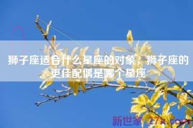 狮子座适合什么星座的对象，狮子座的更佳配偶是哪个星座