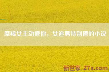 摩羯女主动撩你，女追男特别撩的小说