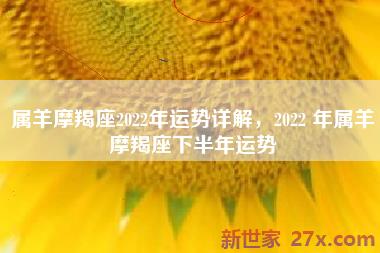 属羊摩羯座2022年运势详解，2022 年属羊摩羯座下半年运势
