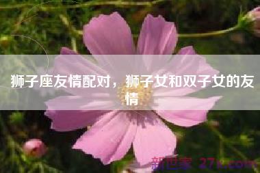 狮子座友情配对，狮子女和双子女的友情