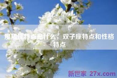 魔羯座特点是什么，双子座特点和性格特点