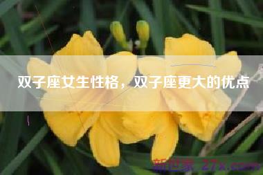 双子座女生性格，双子座更大的优点