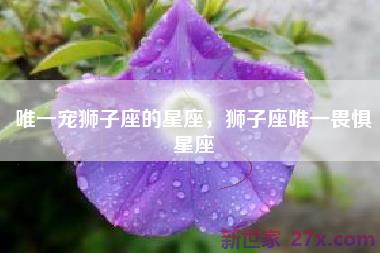 唯一宠狮子座的星座，狮子座唯一畏惧星座