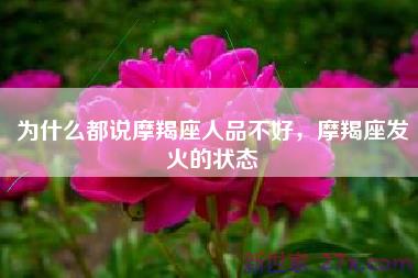 为什么都说摩羯座人品不好，摩羯座发火的状态