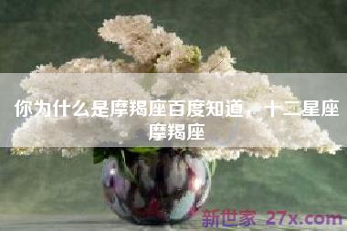 你为什么是摩羯座百度知道，十二星座摩羯座