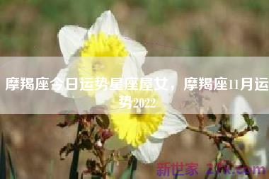 摩羯座今日运势星座屋女，摩羯座11月运势2022