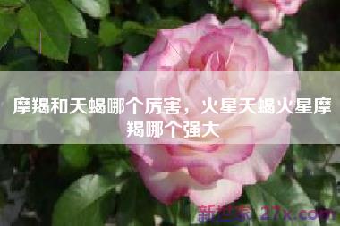 摩羯和天蝎哪个厉害，火星天蝎火星摩羯哪个强大