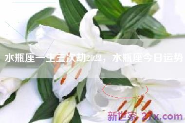 水瓶座一生三次劫2022，水瓶座今日运势