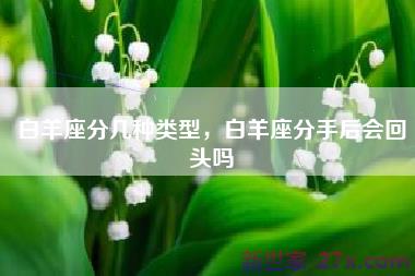 白羊座分几种类型，白羊座分手后会回头吗