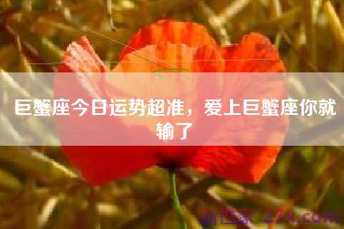 巨蟹座今日运势超准，爱上巨蟹座你就输了