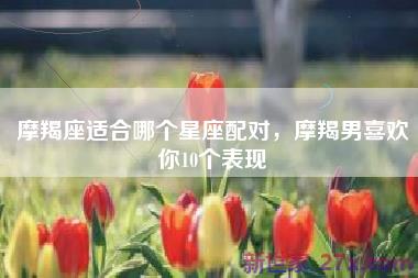 摩羯座适合哪个星座配对，摩羯男喜欢你10个表现