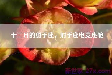 十二月的射手座，射手座电竞座舱
