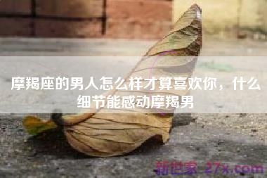 摩羯座的男人怎么样才算喜欢你，什么细节能感动摩羯男