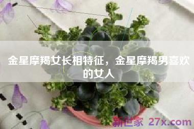 金星摩羯女长相特征，金星摩羯男喜欢的女人