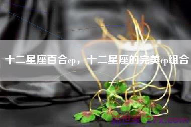 十二星座百合cp，十二星座的完美cp组合