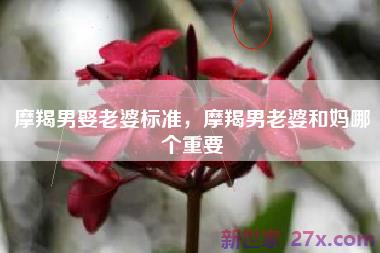 摩羯男娶老婆标准，摩羯男老婆和妈哪个重要