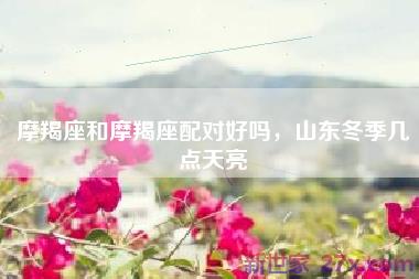 摩羯座和摩羯座配对好吗，山东冬季几点天亮
