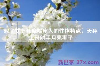 双子女上升摩羯座人的性格特点，天秤上升射手月亮狮子