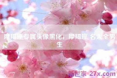 摩羯座专属头像黑化，摩羯座 名大全男生