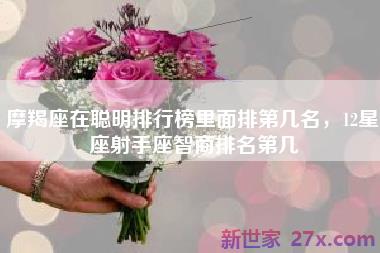 摩羯座在聪明排行榜里面排第几名，12星座射手座智商排名第几