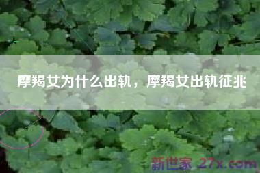 摩羯女为什么出轨，摩羯女出轨征兆