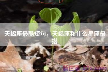天蝎座最酷短句，天蝎座和什么星座最搭