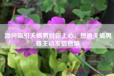 如何吸引天蝎男对你上心，想追天蝎男要主动发信息嘛