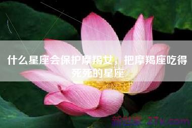 什么星座会保护摩羯女，把摩羯座吃得死死的星座