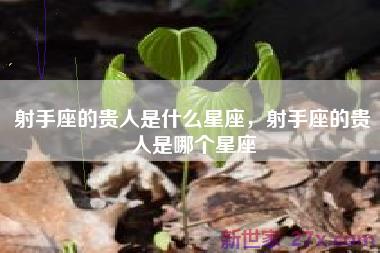 射手座的贵人是什么星座，射手座的贵人是哪个星座