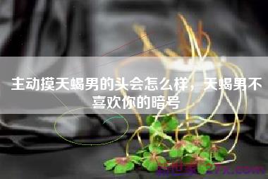 主动摸天蝎男的头会怎么样，天蝎男不喜欢你的暗号