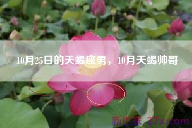 10月25日的天蝎座男，10月天蝎帅哥