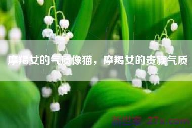 摩羯女的气质像猫，摩羯女的贵族气质