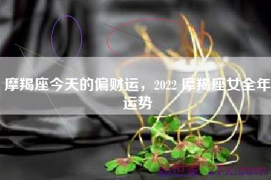 摩羯座今天的偏财运，2022 摩羯座女全年运势