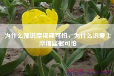 为什么都说摩羯座可怕，为什么说爱上摩羯座很可怕