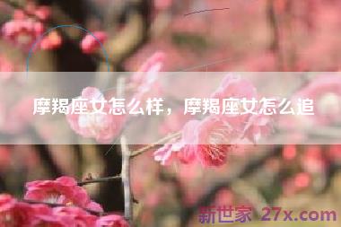 摩羯座女怎么样，摩羯座女怎么追