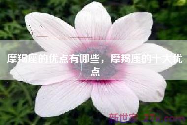 摩羯座的优点有哪些，摩羯座的十大优点