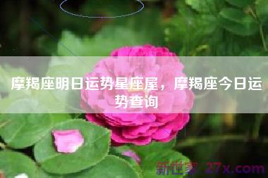 摩羯座明日运势星座屋，摩羯座今日运势查询