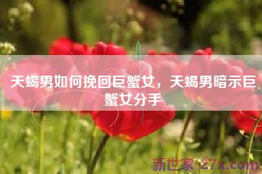 天蝎男如何挽回巨蟹女，天蝎男暗示巨蟹女分手