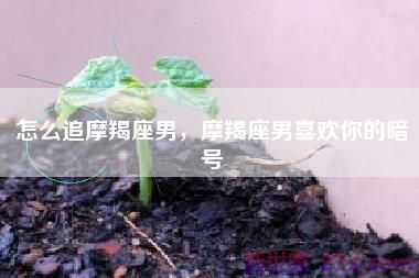 怎么追摩羯座男，摩羯座男喜欢你的暗号