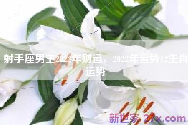 射手座男生2022年财运，2022年运势12生肖运势