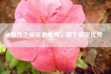那几个星座更优秀，哪个星座优秀