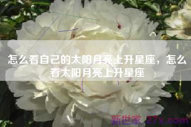 怎么看自己的太阳月亮上升星座，怎么看太阳月亮上升星座