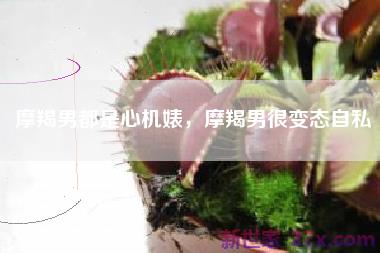摩羯男都是心机婊，摩羯男很变态自私