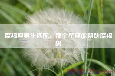 摩羯座男生匹配，那个星座能帮助摩羯男