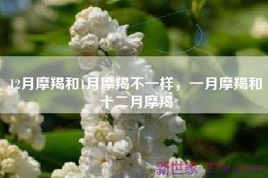 12月摩羯和1月摩羯不一样，一月摩羯和十二月摩羯