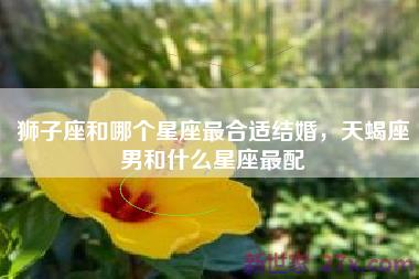 狮子座和哪个星座最合适结婚，天蝎座男和什么星座最配