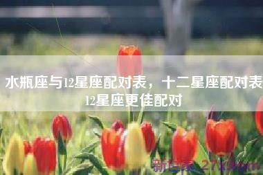 水瓶座与12星座配对表，十二星座配对表12星座更佳配对