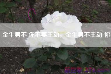 金牛男不 你不要主动，金牛男不主动 你